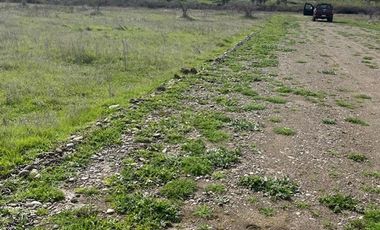 Agrícola en Venta en UNICAVEN LOTE 10