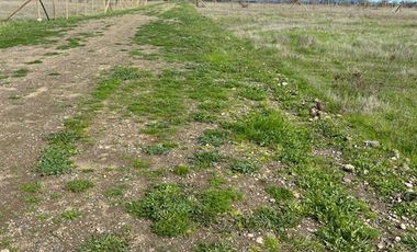 Sitio en Venta en UNICAVEN LOTE 10