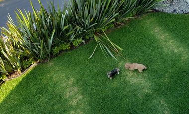 Casa en venta. Rincón de la Lomas, en Sierra Alta. Monterrey, N.L.