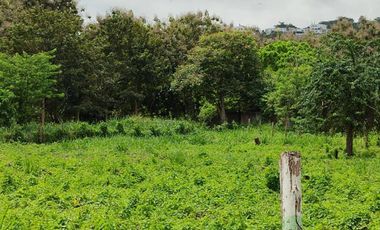 Lote de terreno en Same