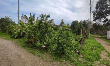 Lote de terreno en Same