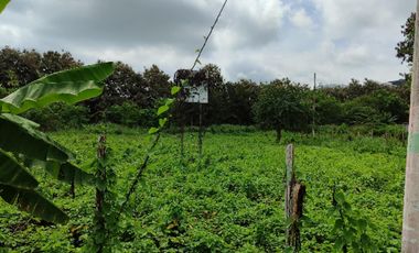 Lote de terreno en Same