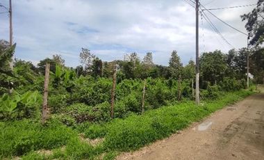 Lote de terreno en Same