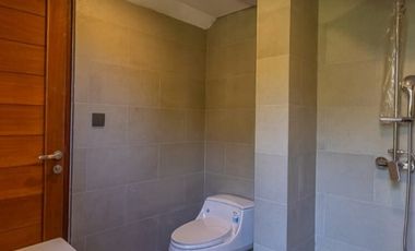 Villa cantik Loss sungai suasana ubud Sekar Tunjung Denpasar Bali