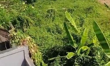 Rumah Cantik Modern View Sawah sekar jepun Denpasar Bali