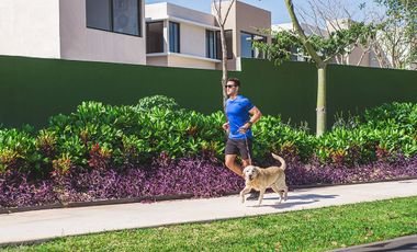 Casa nueva en venta con alberca en Conkal -Cumbres Novonorte