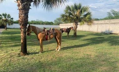 QUINTA EN RENTA EN SANTIAGO
