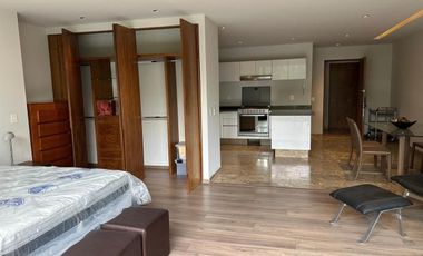 EXTRAORDINARIO LOFT, CERCA DEL ITAM