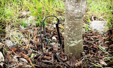 Vive en Exclusiva Quinta 