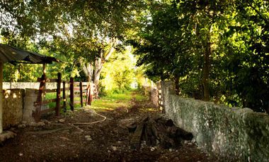 Vive en Exclusiva Quinta 