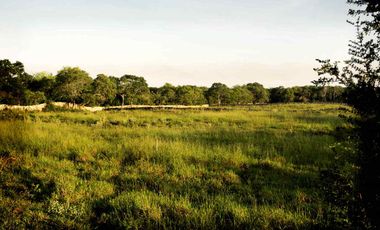 Vive en Exclusiva Quinta 