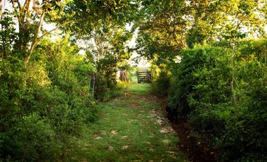 Vive en Exclusiva Quinta 