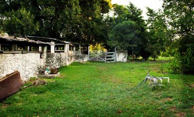 Vive en Exclusiva Quinta 