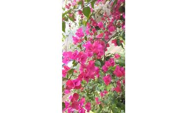 Casa finca en Santa Bárbara - Antioquia  Cerca al casco urbano