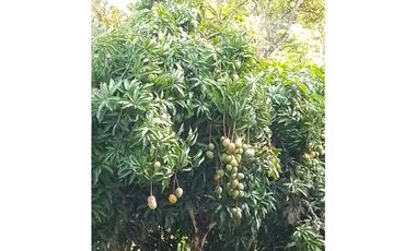 Casa finca en Santa Bárbara - Antioquia  Cerca al casco urbano
