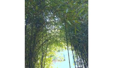 Casa finca en Santa Bárbara - Antioquia  Cerca al casco urbano