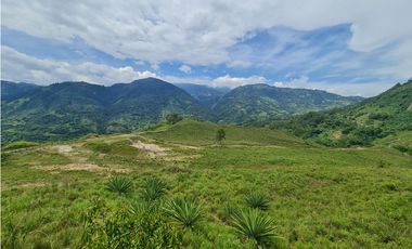 VENTA LOTE EN VENECIA – ANTIOQUIA PARA PARCELAR. PRECIO DE OPORTUNIDAD