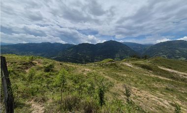 VENTA LOTE EN VENECIA – ANTIOQUIA PARA PARCELAR. PRECIO DE OPORTUNIDAD