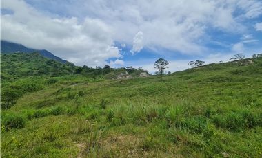VENTA LOTE EN VENECIA – ANTIOQUIA PARA PARCELAR. PRECIO DE OPORTUNIDAD