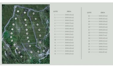 VENTA LOTE EN VENECIA – ANTIOQUIA PARA PARCELAR. PRECIO DE OPORTUNIDAD