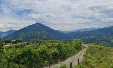 VENTA LOTE EN VENECIA – ANTIOQUIA PARA PARCELAR. PRECIO DE OPORTUNIDAD