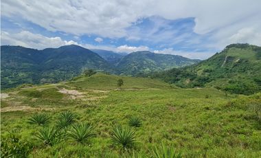 VENTA LOTE EN VENECIA – ANTIOQUIA PARA PARCELAR. PRECIO DE OPORTUNIDAD