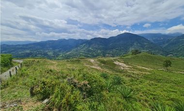 VENTA LOTE EN VENECIA – ANTIOQUIA PARA PARCELAR. PRECIO DE OPORTUNIDAD