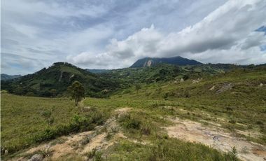 VENTA LOTE EN VENECIA – ANTIOQUIA PARA PARCELAR. PRECIO DE OPORTUNIDAD