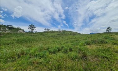 VENTA LOTE EN VENECIA – ANTIOQUIA PARA PARCELAR. PRECIO DE OPORTUNIDAD