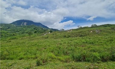 VENTA LOTE EN VENECIA – ANTIOQUIA PARA PARCELAR. PRECIO DE OPORTUNIDAD