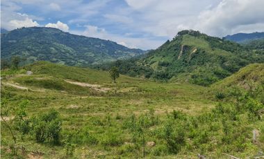 VENTA LOTE EN VENECIA – ANTIOQUIA PARA PARCELAR. PRECIO DE OPORTUNIDAD