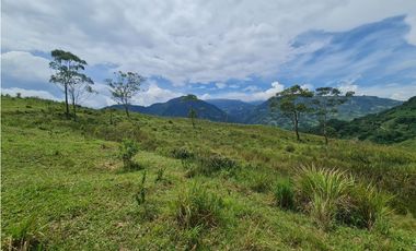 VENTA LOTE EN VENECIA – ANTIOQUIA PARA PARCELAR. PRECIO DE OPORTUNIDAD