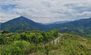 VENTA LOTE EN VENECIA – ANTIOQUIA PARA PARCELAR. PRECIO DE OPORTUNIDAD