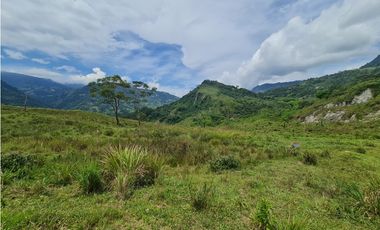 VENTA LOTE EN VENECIA – ANTIOQUIA PARA PARCELAR. PRECIO DE OPORTUNIDAD