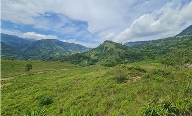 VENTA LOTE EN VENECIA – ANTIOQUIA PARA PARCELAR. PRECIO DE OPORTUNIDAD