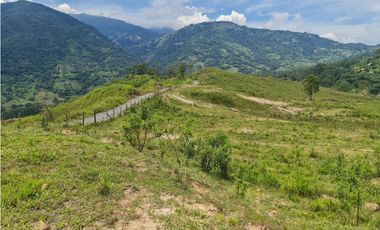 VENTA LOTE EN VENECIA – ANTIOQUIA PARA PARCELAR. PRECIO DE OPORTUNIDAD