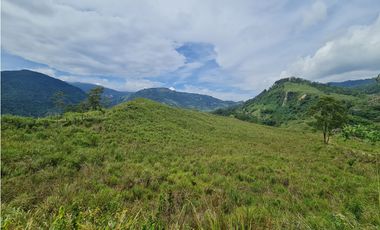 VENTA LOTE EN VENECIA – ANTIOQUIA PARA PARCELAR. PRECIO DE OPORTUNIDAD