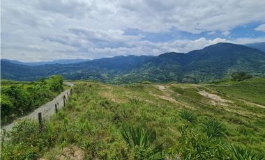 VENTA LOTE EN VENECIA – ANTIOQUIA PARA PARCELAR. PRECIO DE OPORTUNIDAD