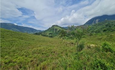 VENTA LOTE EN VENECIA – ANTIOQUIA PARA PARCELAR. PRECIO DE OPORTUNIDAD