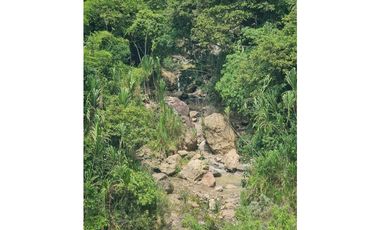 VENTA LOTE EN VENECIA – ANTIOQUIA PARA PARCELAR. PRECIO DE OPORTUNIDAD