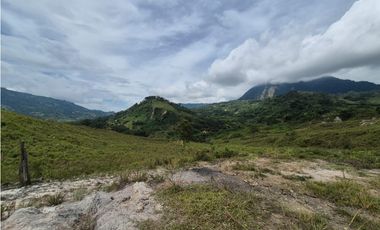 VENTA LOTE EN VENECIA – ANTIOQUIA PARA PARCELAR. PRECIO DE OPORTUNIDAD