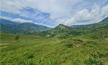 VENTA LOTE EN VENECIA – ANTIOQUIA PARA PARCELAR. PRECIO DE OPORTUNIDAD