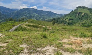 VENTA LOTE EN VENECIA – ANTIOQUIA PARA PARCELAR. PRECIO DE OPORTUNIDAD