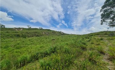 VENTA LOTE EN VENECIA – ANTIOQUIA PARA PARCELAR. PRECIO DE OPORTUNIDAD