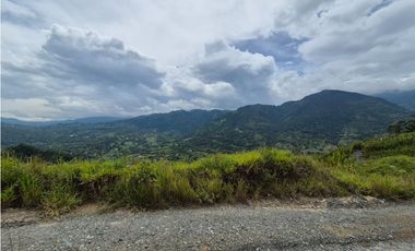 VENTA LOTE EN VENECIA – ANTIOQUIA PARA PARCELAR. PRECIO DE OPORTUNIDAD