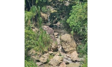 VENTA LOTE EN VENECIA – ANTIOQUIA PARA PARCELAR. PRECIO DE OPORTUNIDAD