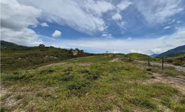 VENTA LOTE EN VENECIA – ANTIOQUIA PARA PARCELAR. PRECIO DE OPORTUNIDAD