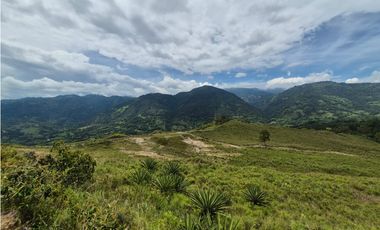 VENTA LOTE EN VENECIA – ANTIOQUIA PARA PARCELAR. PRECIO DE OPORTUNIDAD