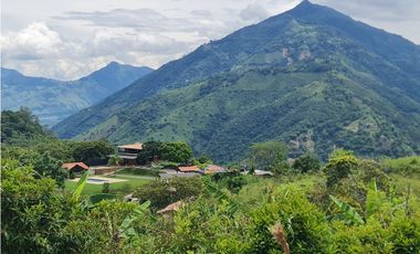 VENTA LOTE EN VENECIA – ANTIOQUIA PARA PARCELAR. PRECIO DE OPORTUNIDAD