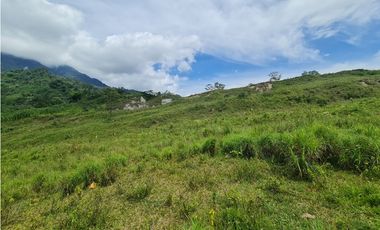 VENTA LOTE EN VENECIA – ANTIOQUIA PARA PARCELAR. PRECIO DE OPORTUNIDAD